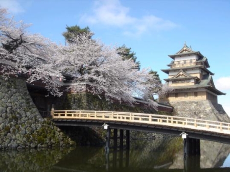 高島公園の写真